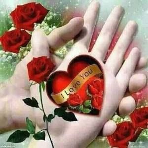 Meet your Posher, Umar sabir